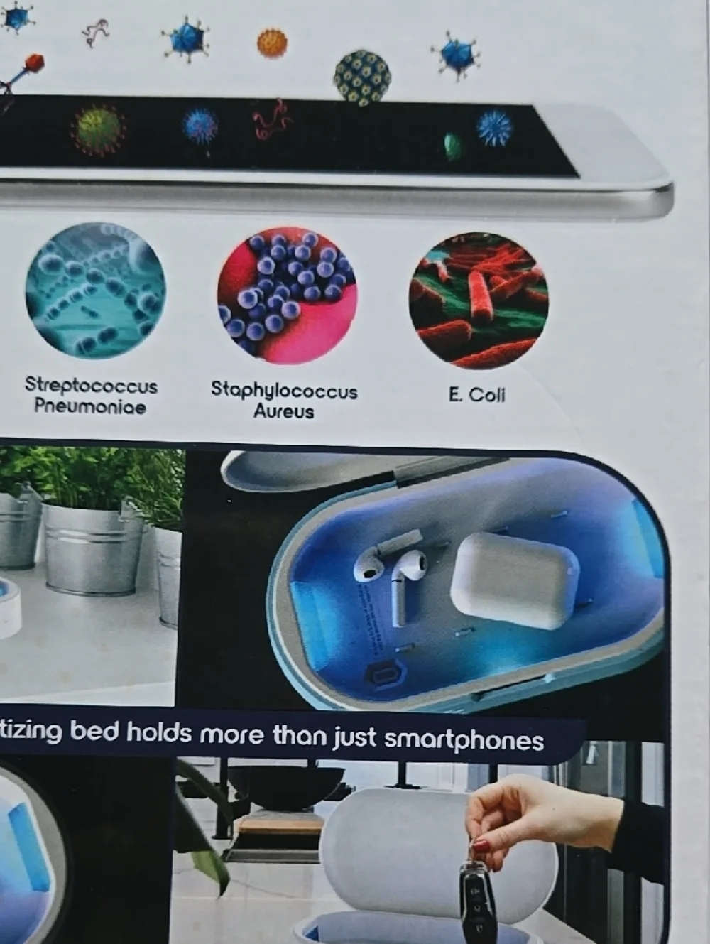 Blue Phone & Accessory Sanitizer